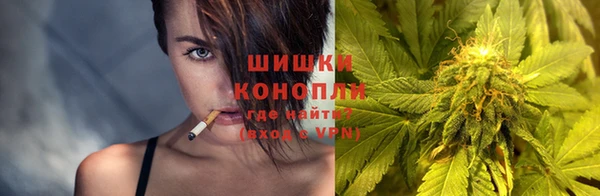 apvp Аркадак