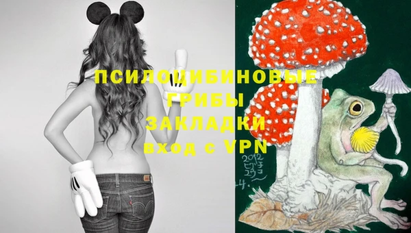 спайс Арсеньев