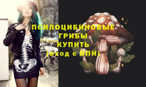 первитин Армянск
