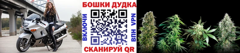 закладка  Правдинск  Канабис THC 21% 